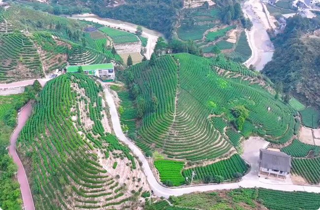 rIˮ̼R, K̼R, ݽ, S̼Ʊ