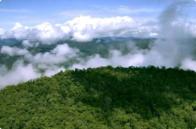 |ρ羳̼WjĿ20301000f/